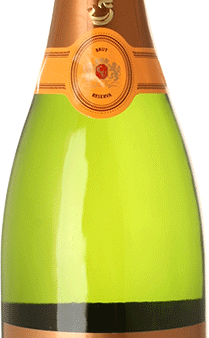 Campo Viejo Brut Reserva Cava For Sale